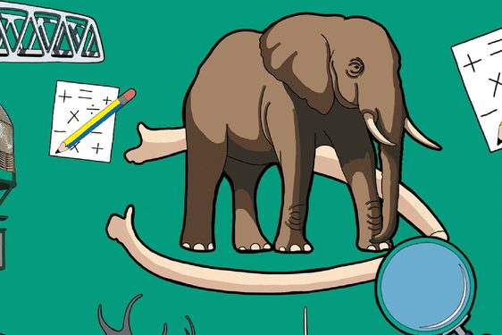 An African elephant, a yellow-gloved hand holding a magnifying glass, dinosaur bones, a pencil resting on a paper with math symbols, a windmill, a rocket poised for launch, a lighthouse, and a crane are all scattered across a flyer for Maths Week Scotland.