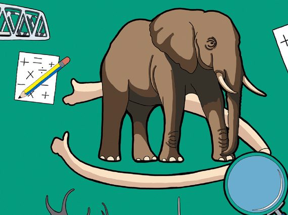 An African elephant, a yellow-gloved hand holding a magnifying glass, dinosaur bones, a pencil resting on a paper with math symbols, a windmill, a rocket poised for launch, a lighthouse, and a crane are all scattered across a flyer for Maths Week Scotland.
