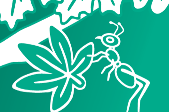 A green graphic of an ant carrying a leaf.