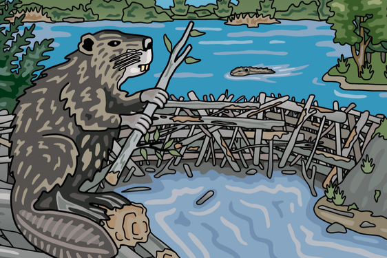 A cartoon of a beaver building a dam at a river.