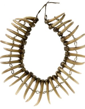 Necklace consisting of thirty-two bear claws threaded on hide.