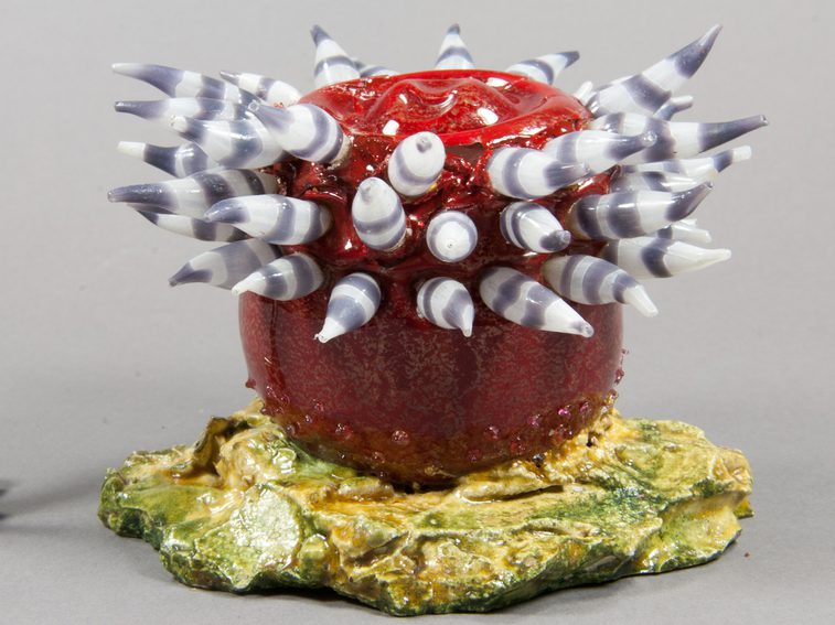 A restored model of a sea anemone made of red and grey glass