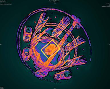 A coloured x ray of a raised round brooch.