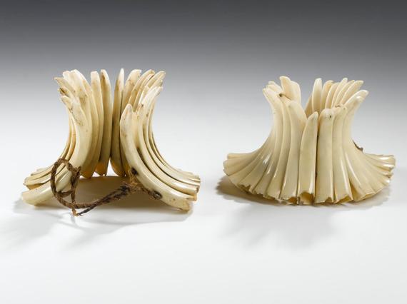 Two funnels against the white background from a crescent shaped ivory tusks.
