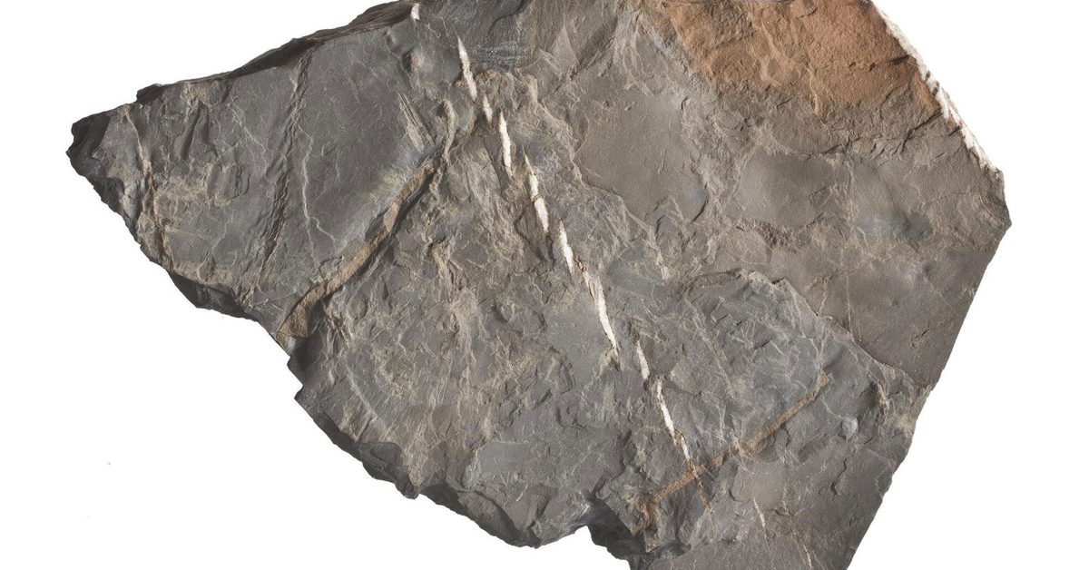 Solite Powder Virginia Solite Quarry | National Museums Scotland