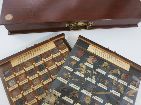 A brown wooden briefcase on top of a white table. Inside is a selection of dried flowers and foods that a bird would eat, and each are labelled.