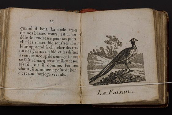 An open book, with the left hand page showing an illustration of a peacock, and the right showing scrolled text.