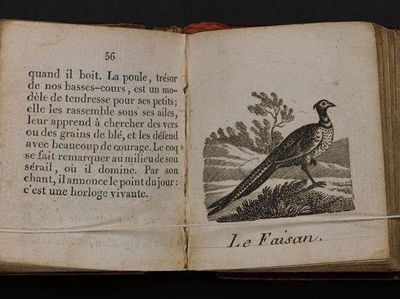 An open book, with the left hand page showing an illustration of a peacock, and the right showing scrolled text.