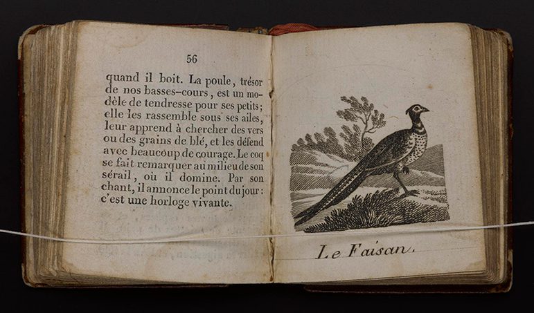 An open book, with the left hand page showing an illustration of a peacock, and the right showing scrolled text.