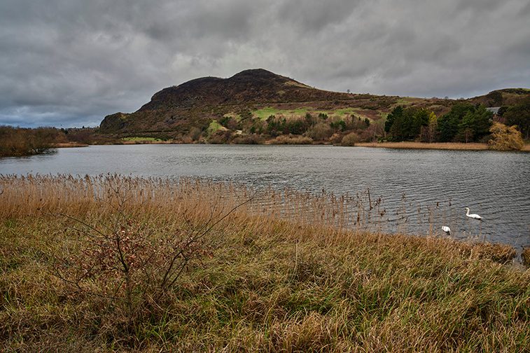 A view of a loch on an overcast day. There are two swans swimming in the water, and a hill by the lochside. In the foreground there's a grassy landscape.