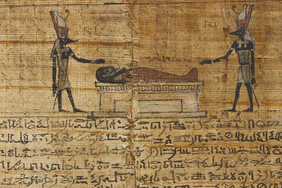 A fragment of an ancient Egyptian scroll with text and illustrations.