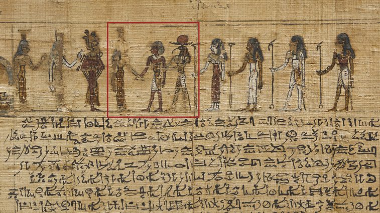 A fragment of an ancient Egyptian scroll with text and illustrations.