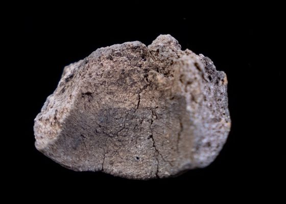 1 lumps of grey looking stone without defining features.