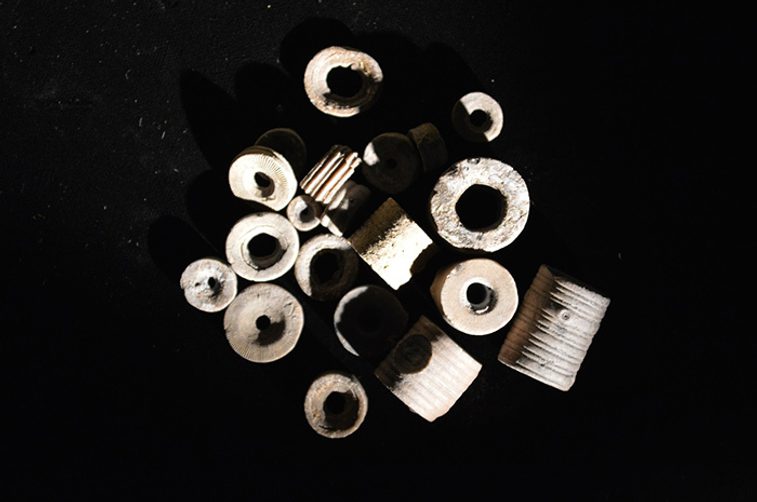 A collection of cylindrical shaped fossils.