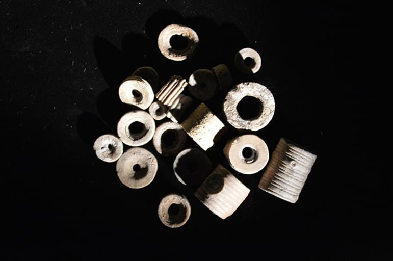 A collection of cylindrical shaped fossils.