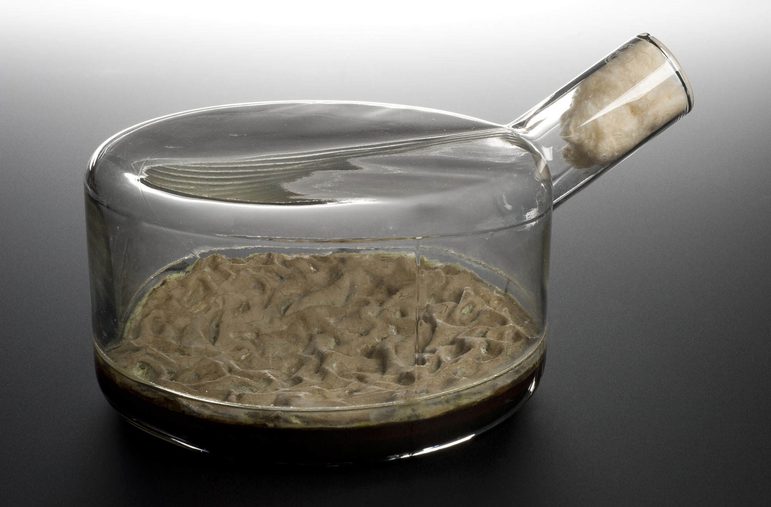 A round glass container with a spout and beige mould growing inside it.