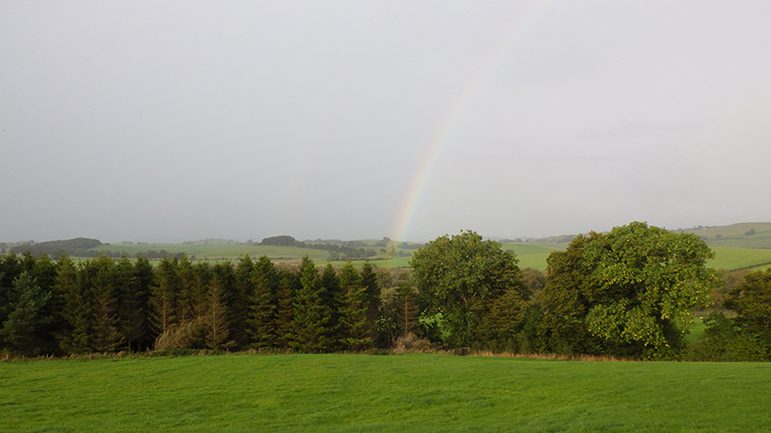 A colour photograph of a faint rainbow in front of a grey sky, over a number of fields. There is a large green field in the foreground, then a horizontal row of dark green trees and more fields in the distance.
