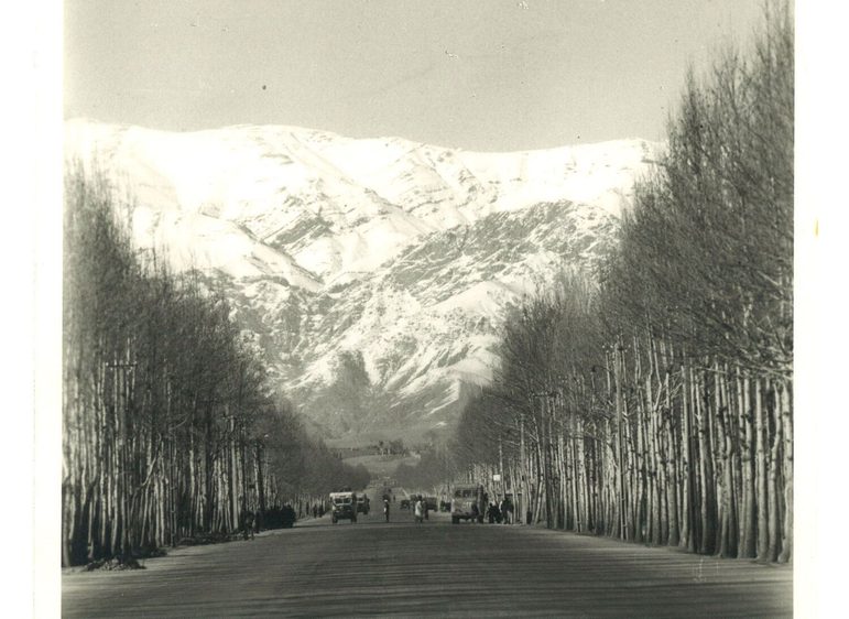 A black and white image of a long tree lined road leading to a large snow covered mountain