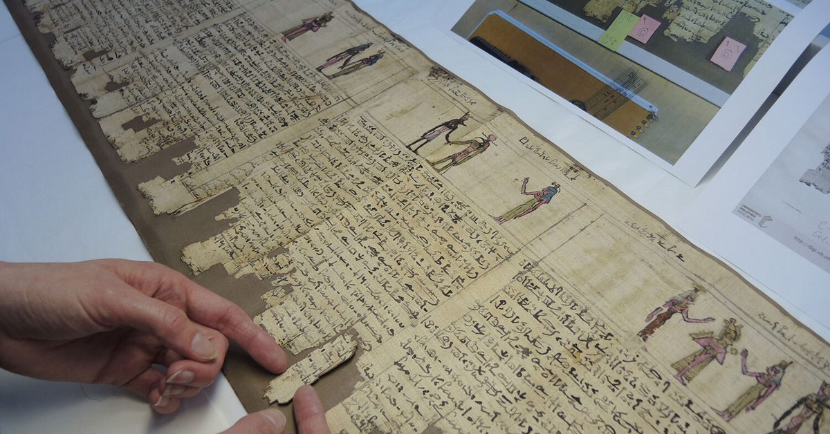 Papriy Reed all about it: Conservation of ancient Egyptian papyri | National ...