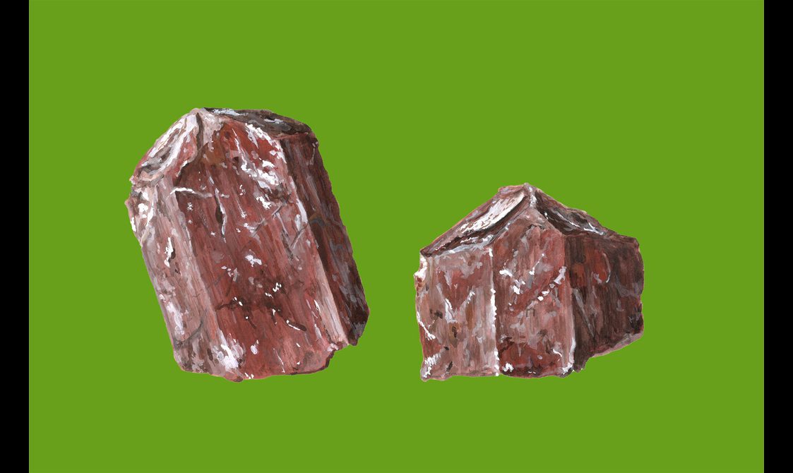 An illustration of two brown rocks with white flecks against a bright green background