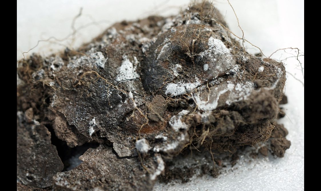 The grainy dark brown remains of a Bronze Age mould.