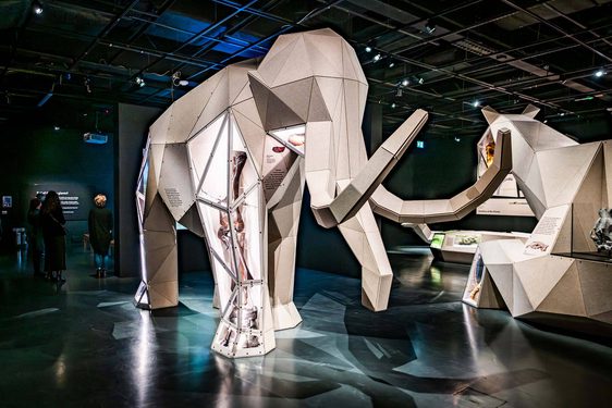 A large origami-shaped model of a Woolly Mammoth in a museum exhibition space.