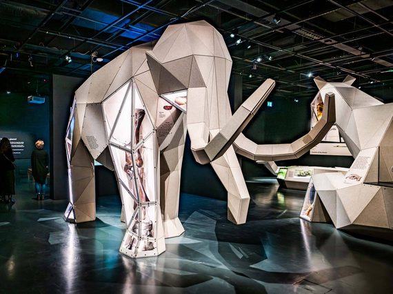 A large origami-shaped model of a Woolly Mammoth in a museum exhibition space.