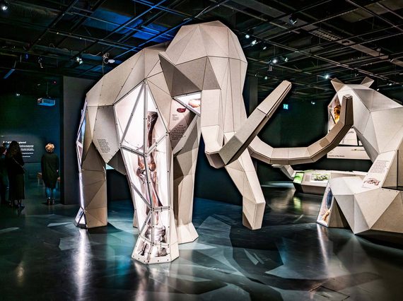 A large origami-shaped model of a Woolly Mammoth in a museum exhibition space.