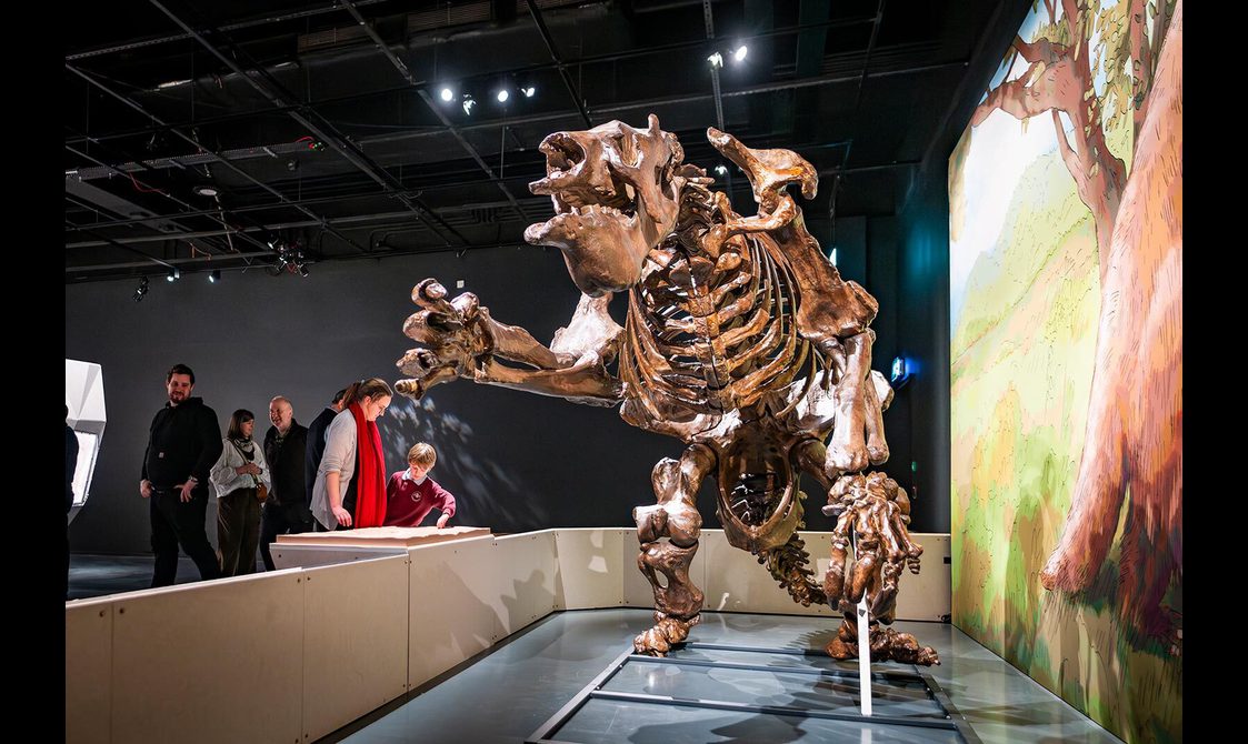 Visitors look at the skeleton of a giant ground sloth on display in a museum exhibition.
