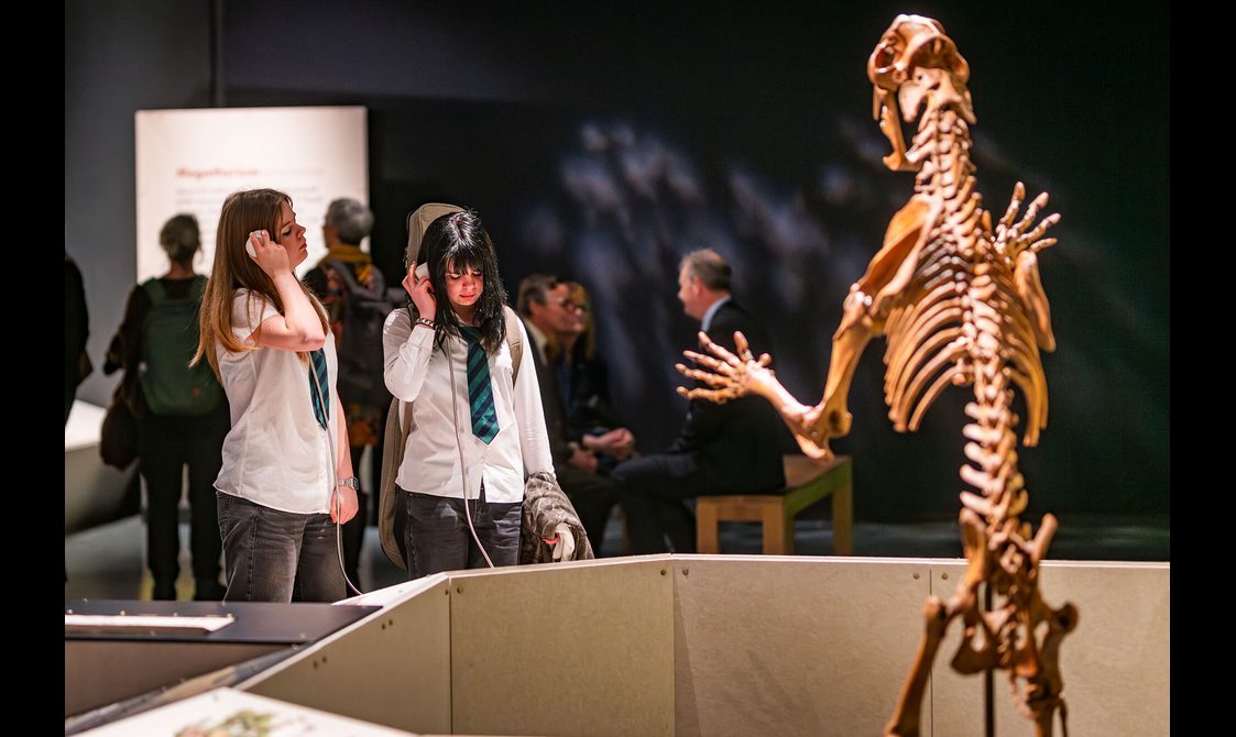 Two school pupils listen to a video next to a skeleton of a sabre-toothed cat