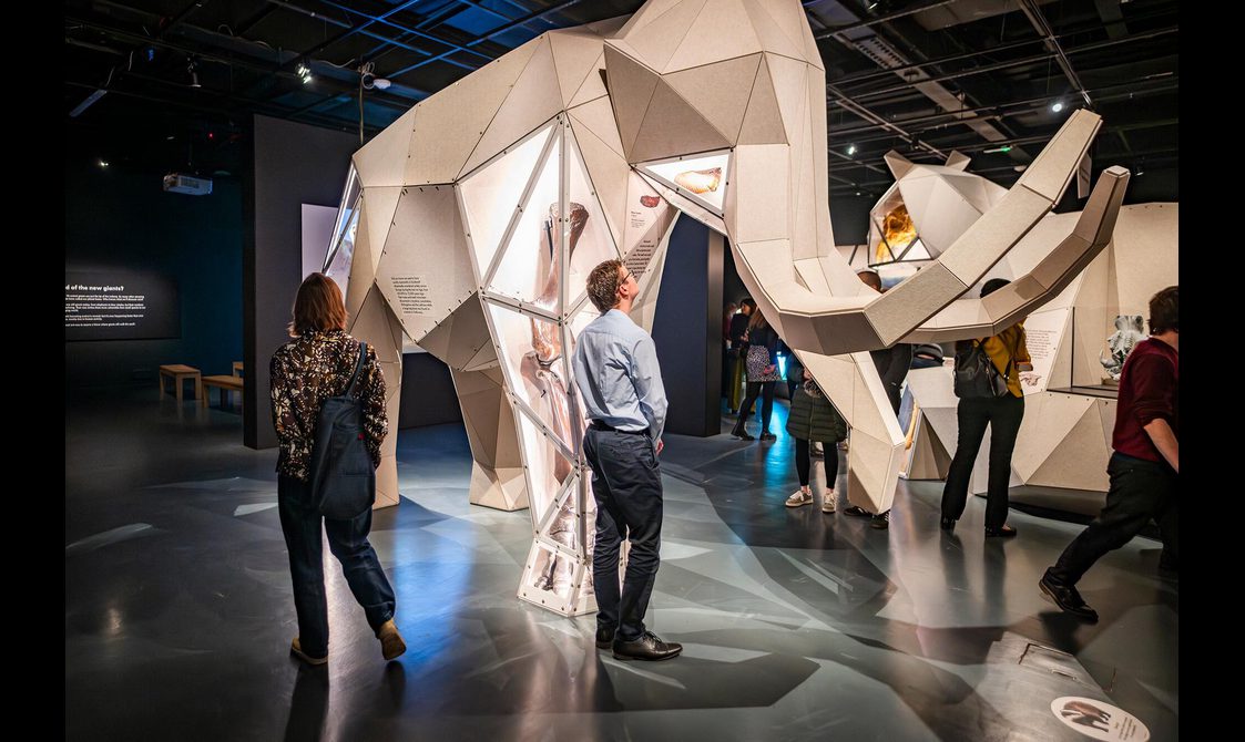 Two visitors look at a large origami-style model of a woolly mammoth. Inside the model is a leg bone of the mammoth.