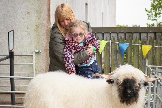 A mother holds up their child to look at some sheep.
