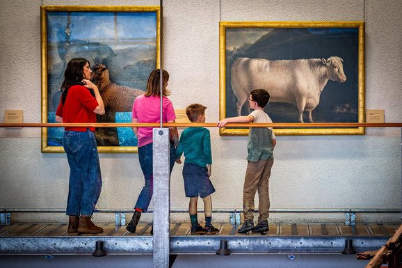 Two parents and two children look at large paintings of farm animals in a museum.