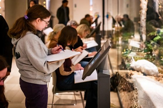 Young woman sketching on clipboard in front of wildlife exhibition