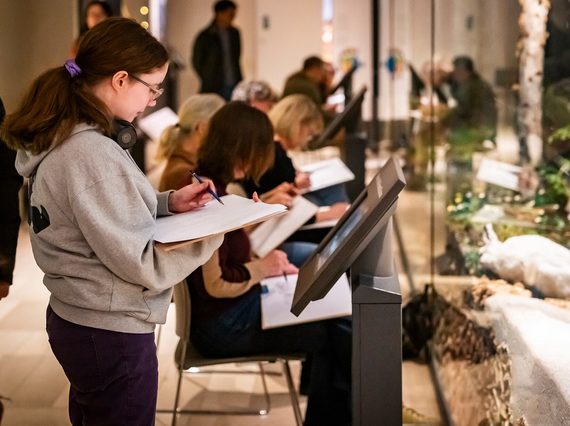 Young woman sketching on clipboard in front of wildlife exhibition