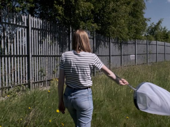 A person with long blonde hair and a white striped shirt seend from behind holds a large insect net over tall grass while walking along a fence.
