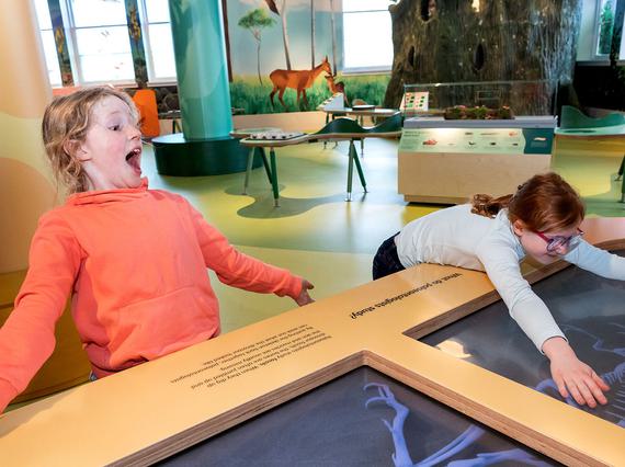 Two children in a gallery, one leans back with a look of surprise, the other rests on the display in front.