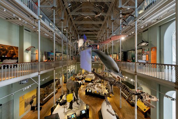 A view of the National Museum of Scotland showcasing various artefacts, with some suspended in the air and others arranged around the room.