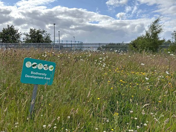 A patch of land with overgrown grass. There is a sign that reads 'Biodiversity Development Area'