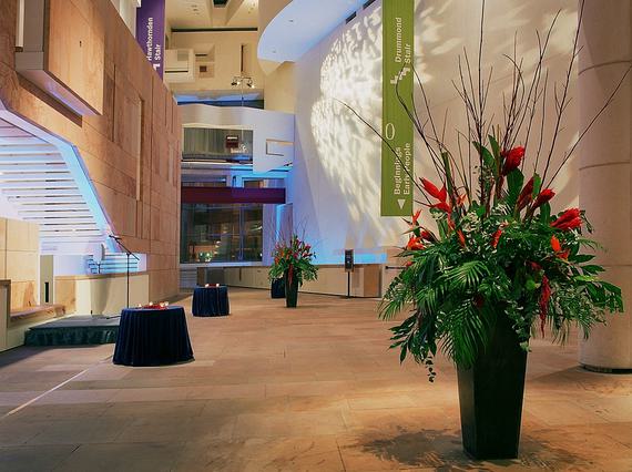 A large, stone, multi-level space with curved and block-like architectural details along the high walls. There is a large decorative plant in the foreground.