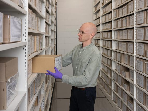 A curator pulls out a cardboard box from a row of collections shelves.
