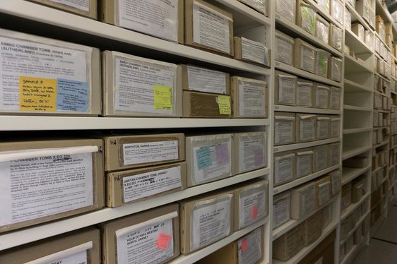 Rows of cardboard boxes in a museum store.