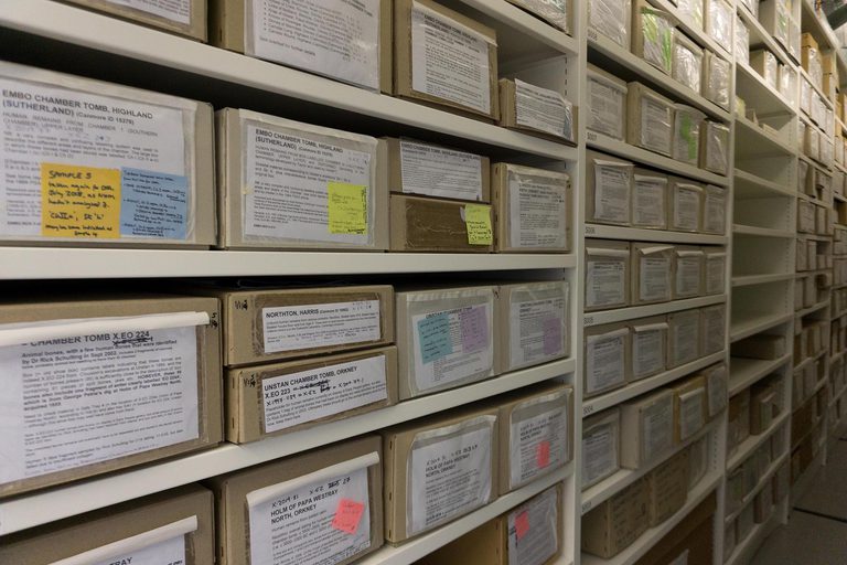 Rows of cardboard boxes in a museum store.