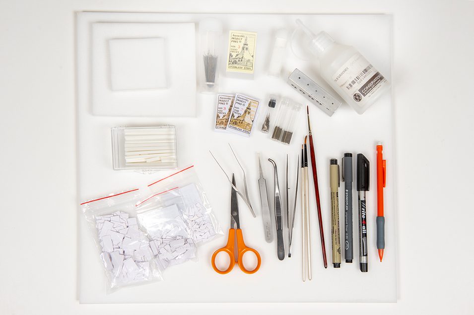 The various entomological equipment used in the preparation process