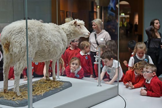 A group of school children standing round a display case containing Dolly the sheep.