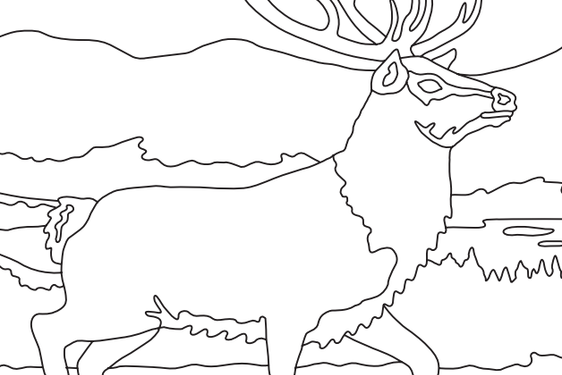Line drawing of a stag standing in some grass with mountains in the background.