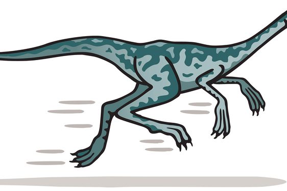 Cartoon illustration of a dromiceiomimus.