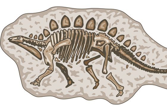 Cartoon illustration of a fossilised dinosaur.