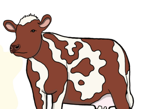 A drawing of a cow.