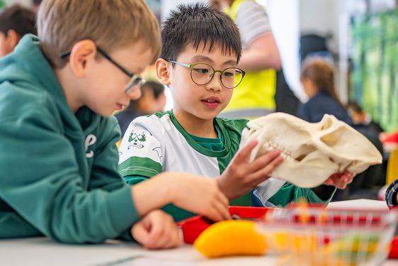 Two children sit at a table at a museum workshop. One child is holding the cast skull of an animal.